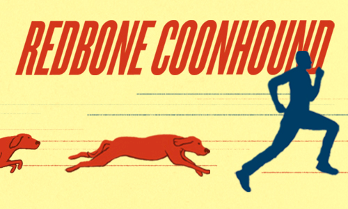 REDBONE COONHOUND